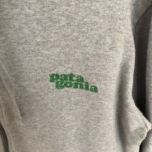 Patagnia Gray Zip Up with hood